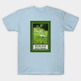 Vintage Travel Pinckney Island T-Shirt